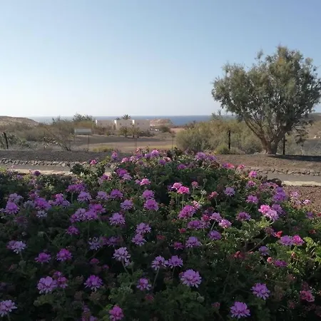 Old King's House Apartamento