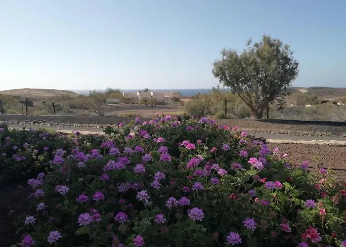 Old King's House Appartement